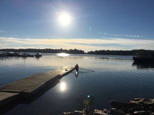 haltia-peter harms-ringdahl